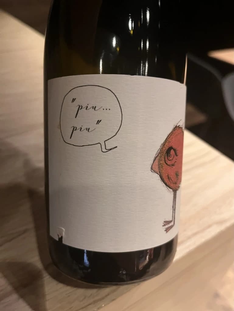 Fio Wein Piu Piu Petnat Rosé NV