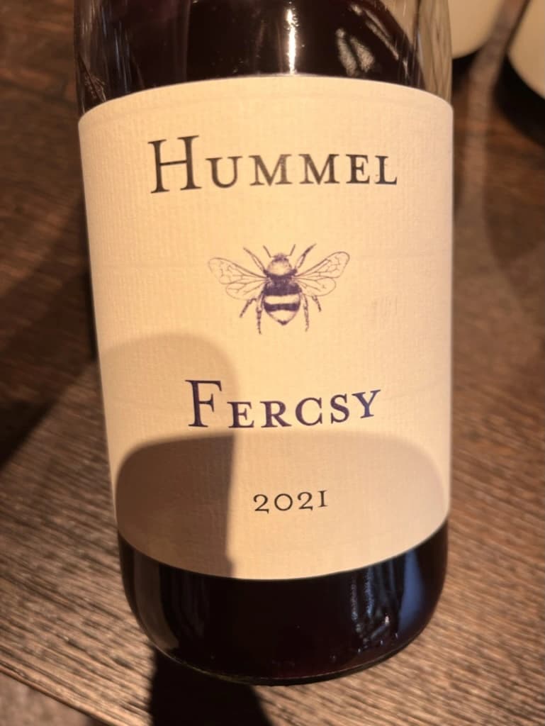 Hummel Schiller Fercsy 2021