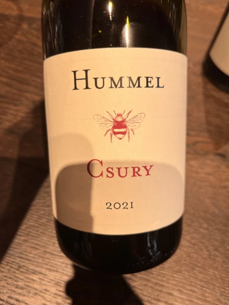 Hummel Csury 2021