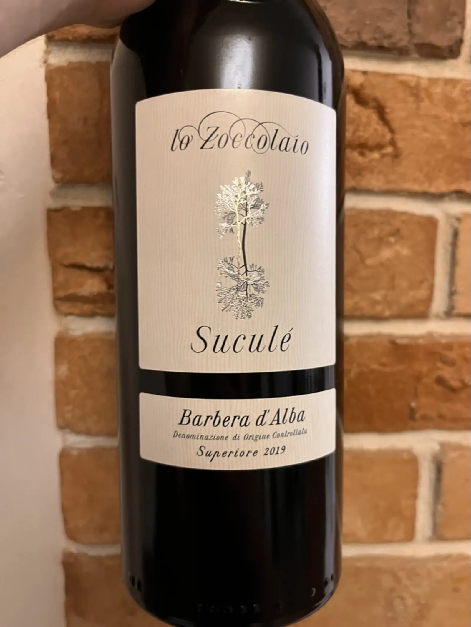 Lo Zoccolaio Suculé Barbera d'Alba Superiore 2019