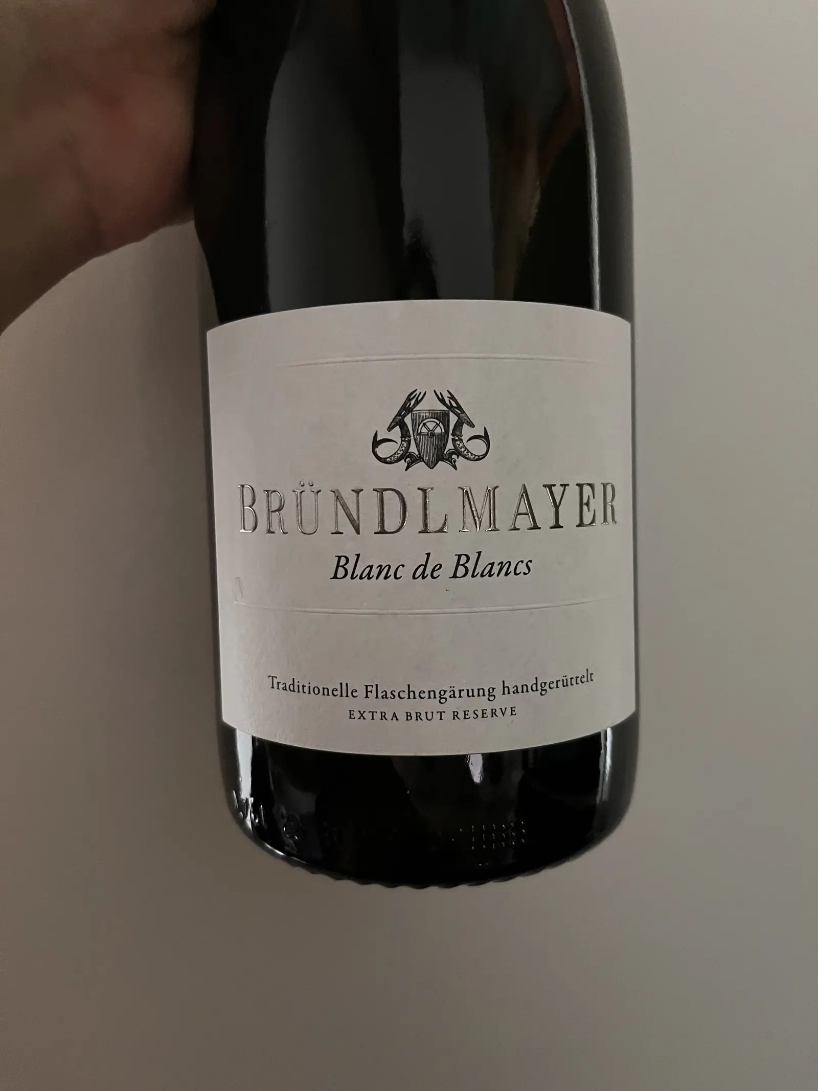 Weingut Bründlmayer Blanc de Blancs Extra Brut Reserve L11778/08/15 NV