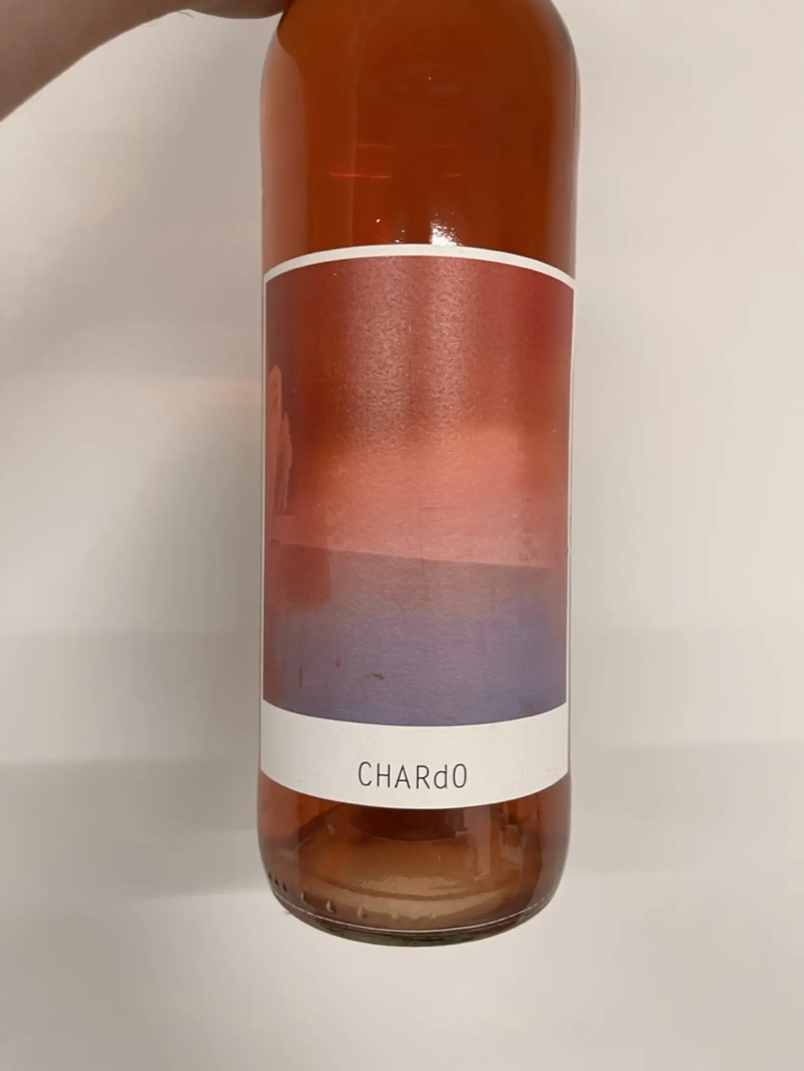 Sarnin-Berrux CHARdO 2020