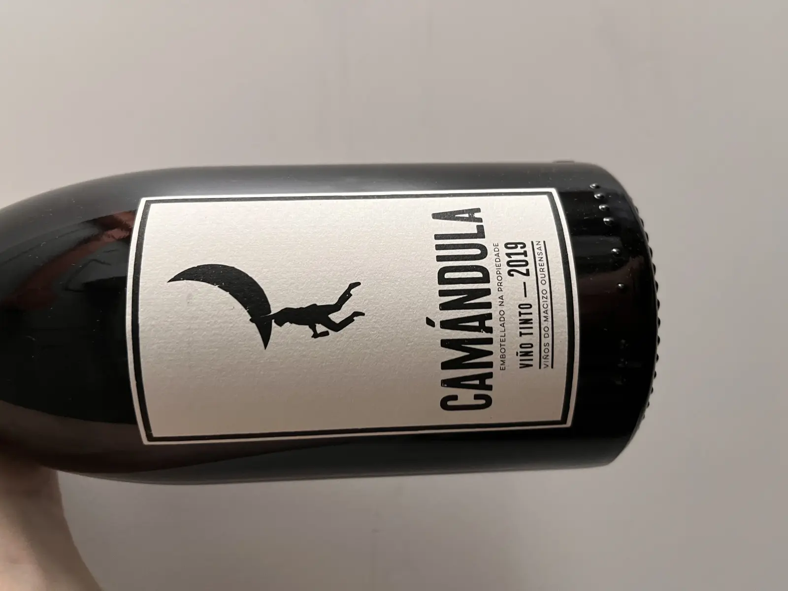 Peixes Camándula 2019