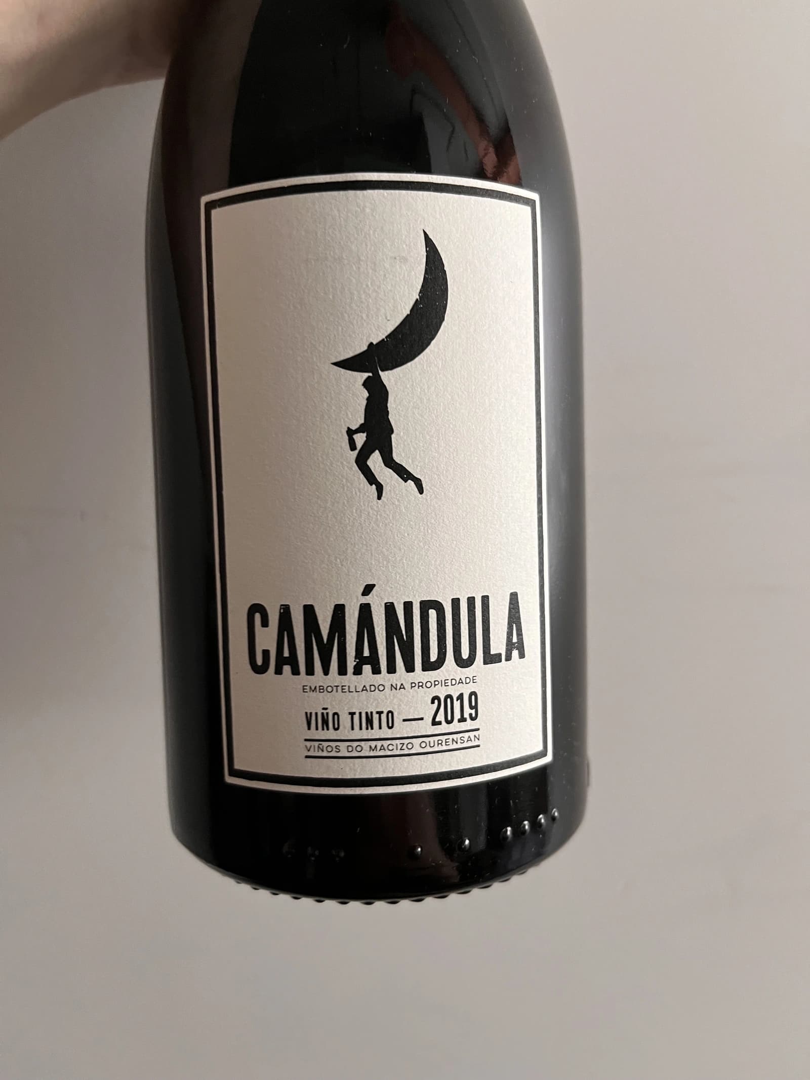 Peixes Camándula 2019