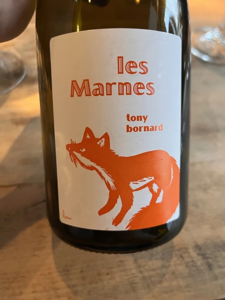 Tony Bornard les Marnes 2016