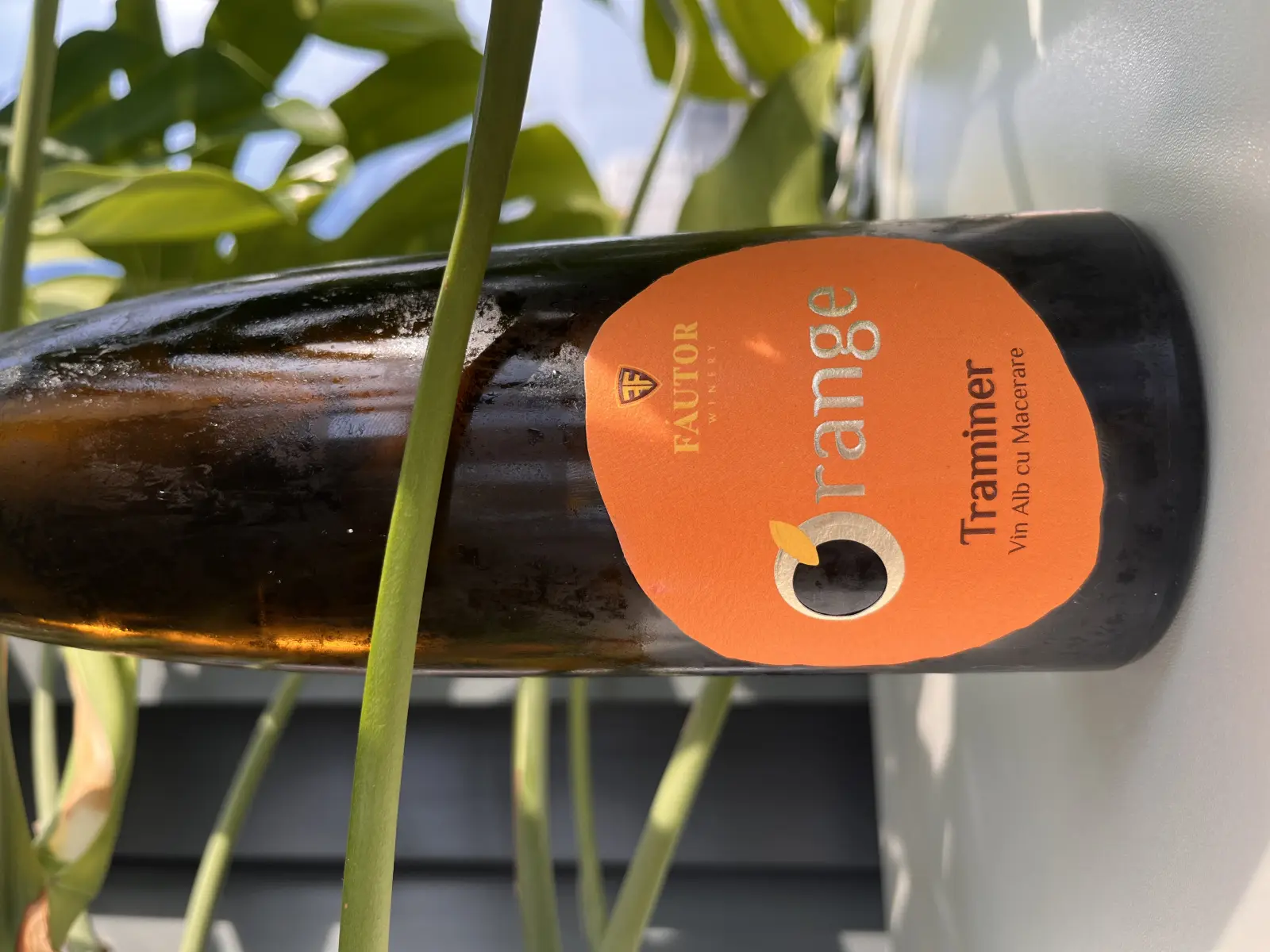 Fáutor Orange Traminer 2021
