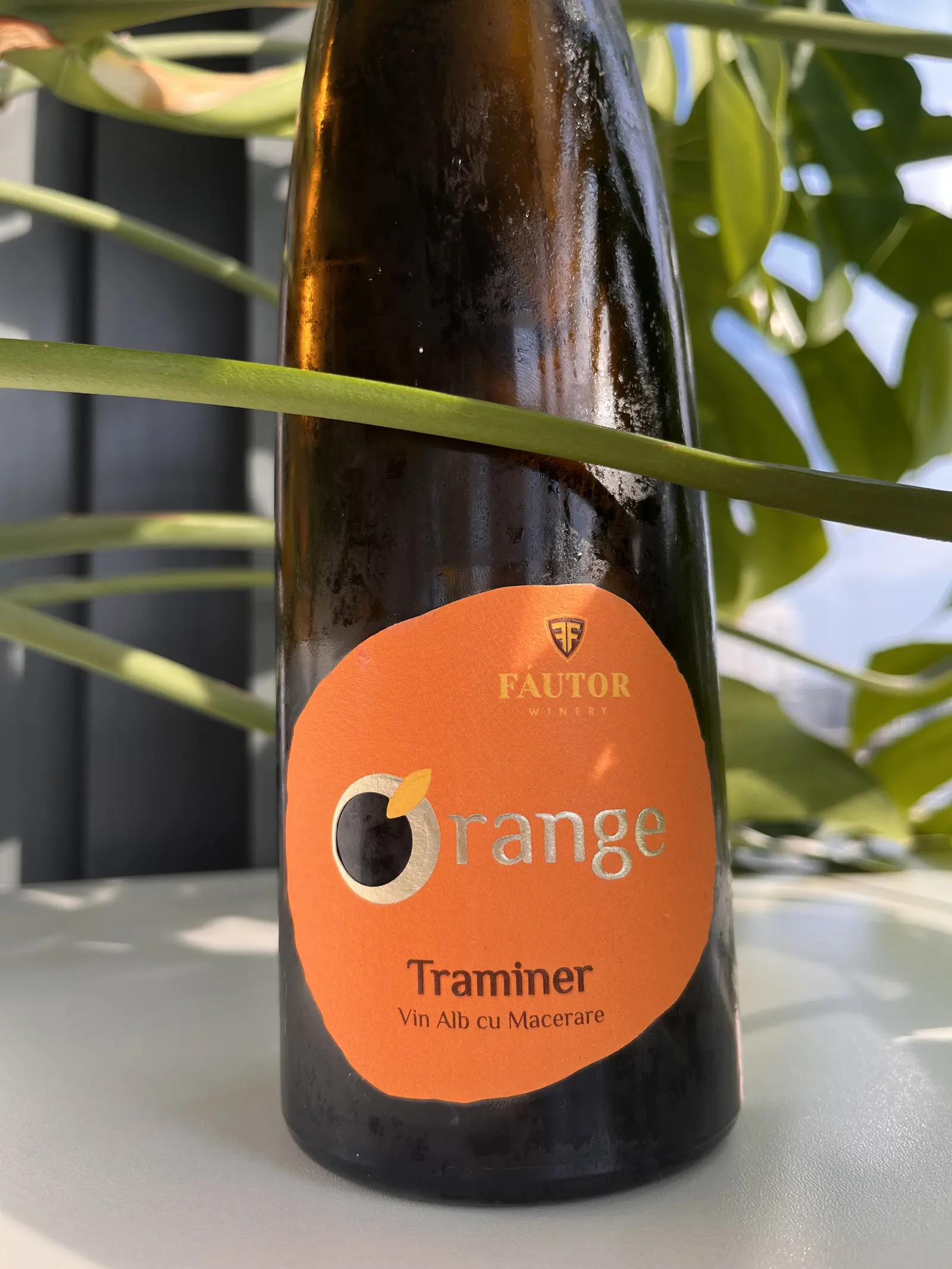 Fáutor Orange Traminer 2021