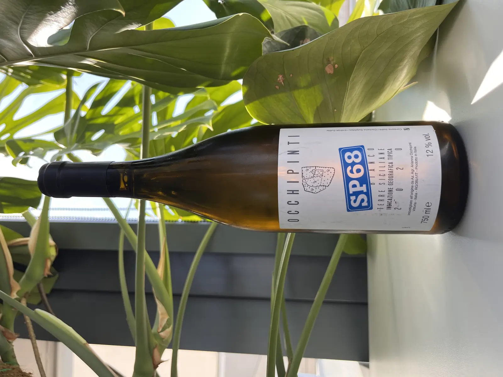 Arianna Occhipinti SP68 Bianco 2020