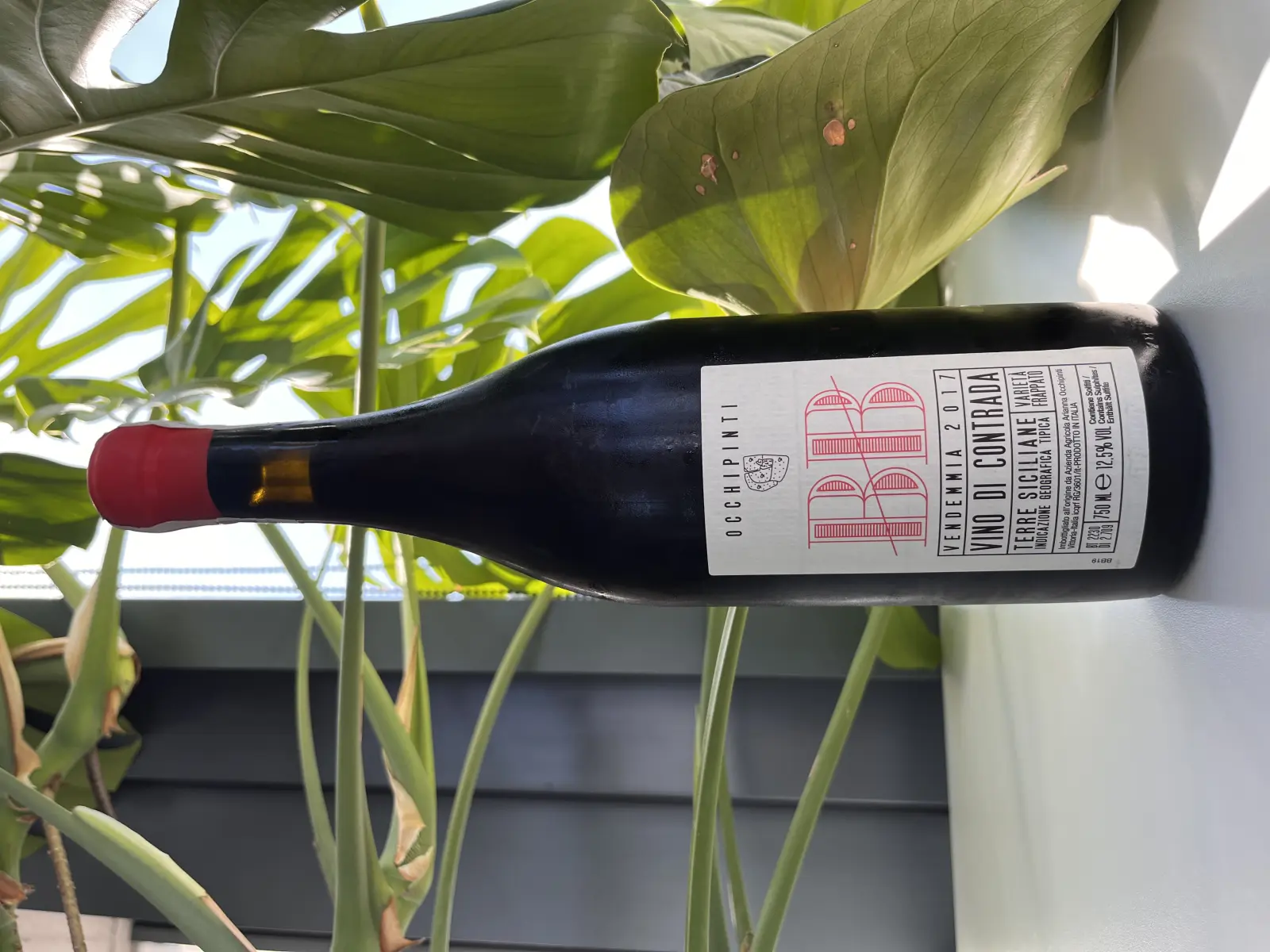 Arianna Occhipinti Bombolieri BB 2017