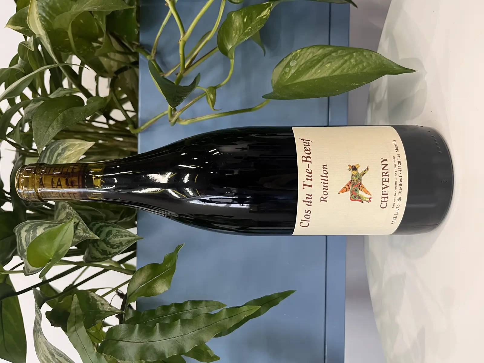 Clos du Tue-Boeuf Cheverny Rouillon 2022