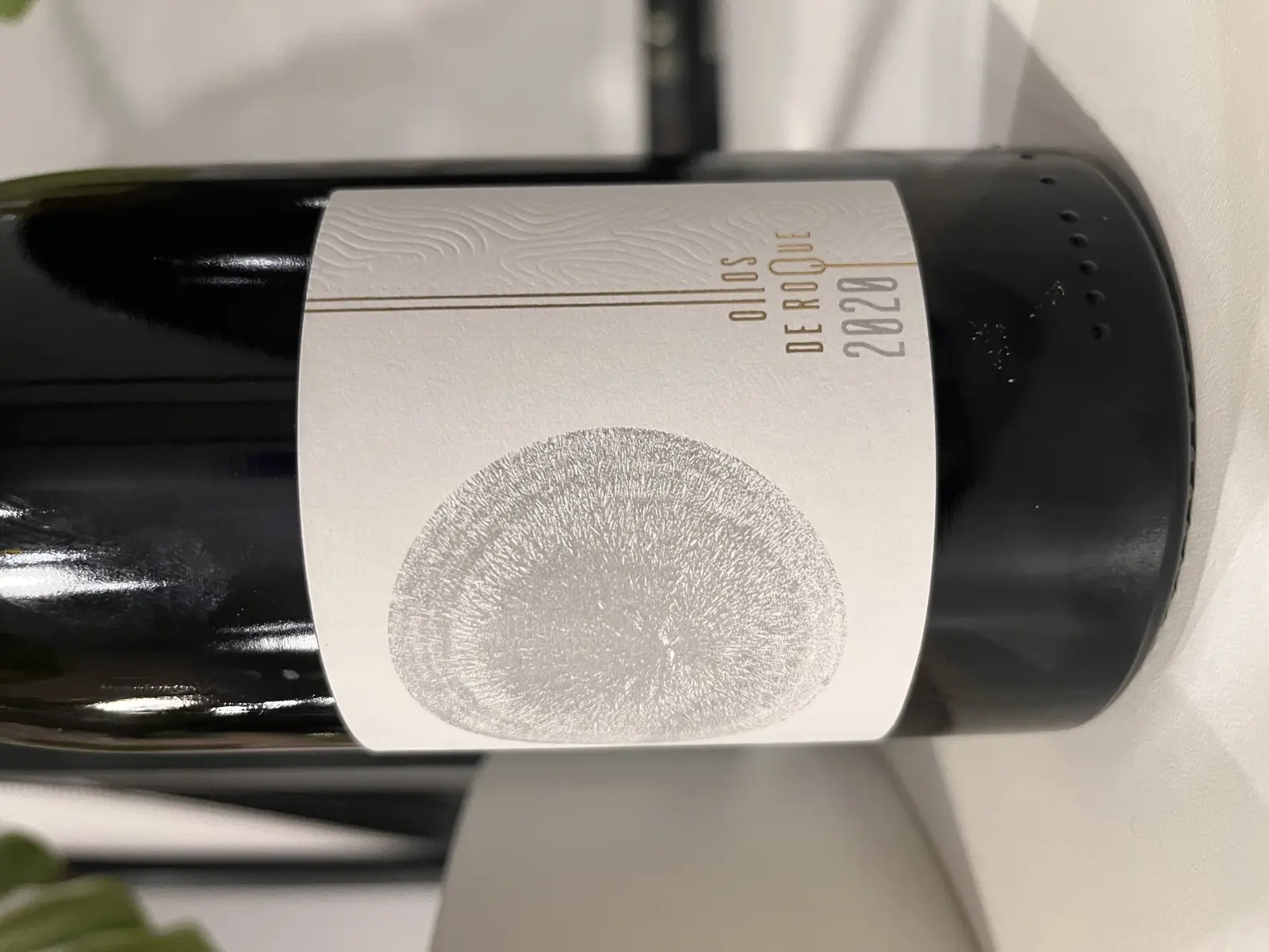 Fazenda Agricola Augalevada Ollos de Roque 2020