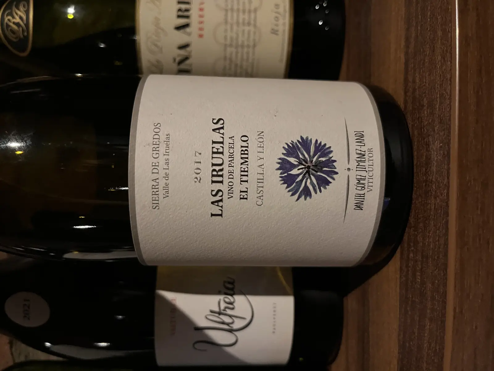 Daniel Gómez Jiménez-Landi Las Iruelas El Tiemblo 2017