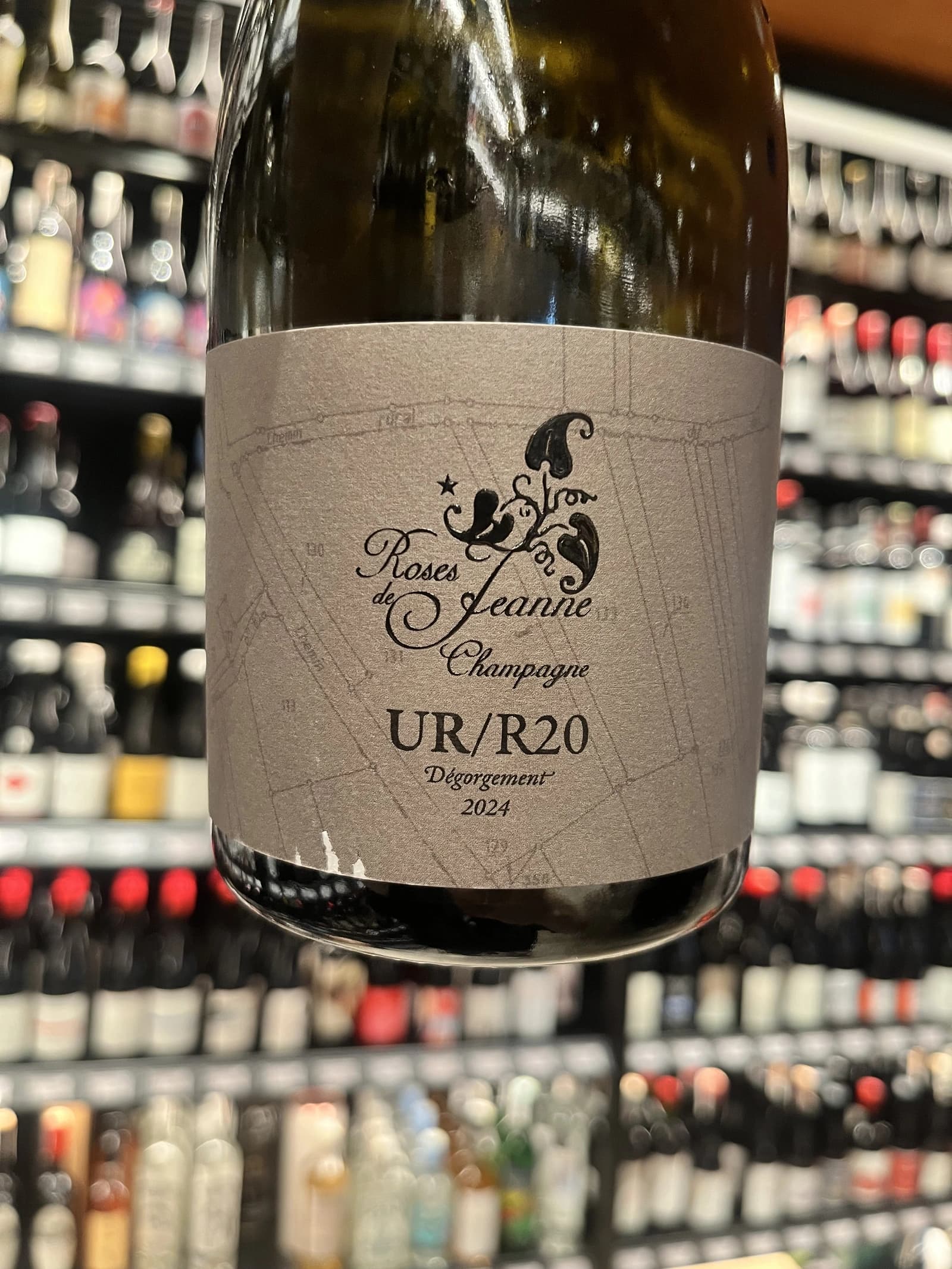 Roses de Jeanne Les Ursules UR/R20 2020