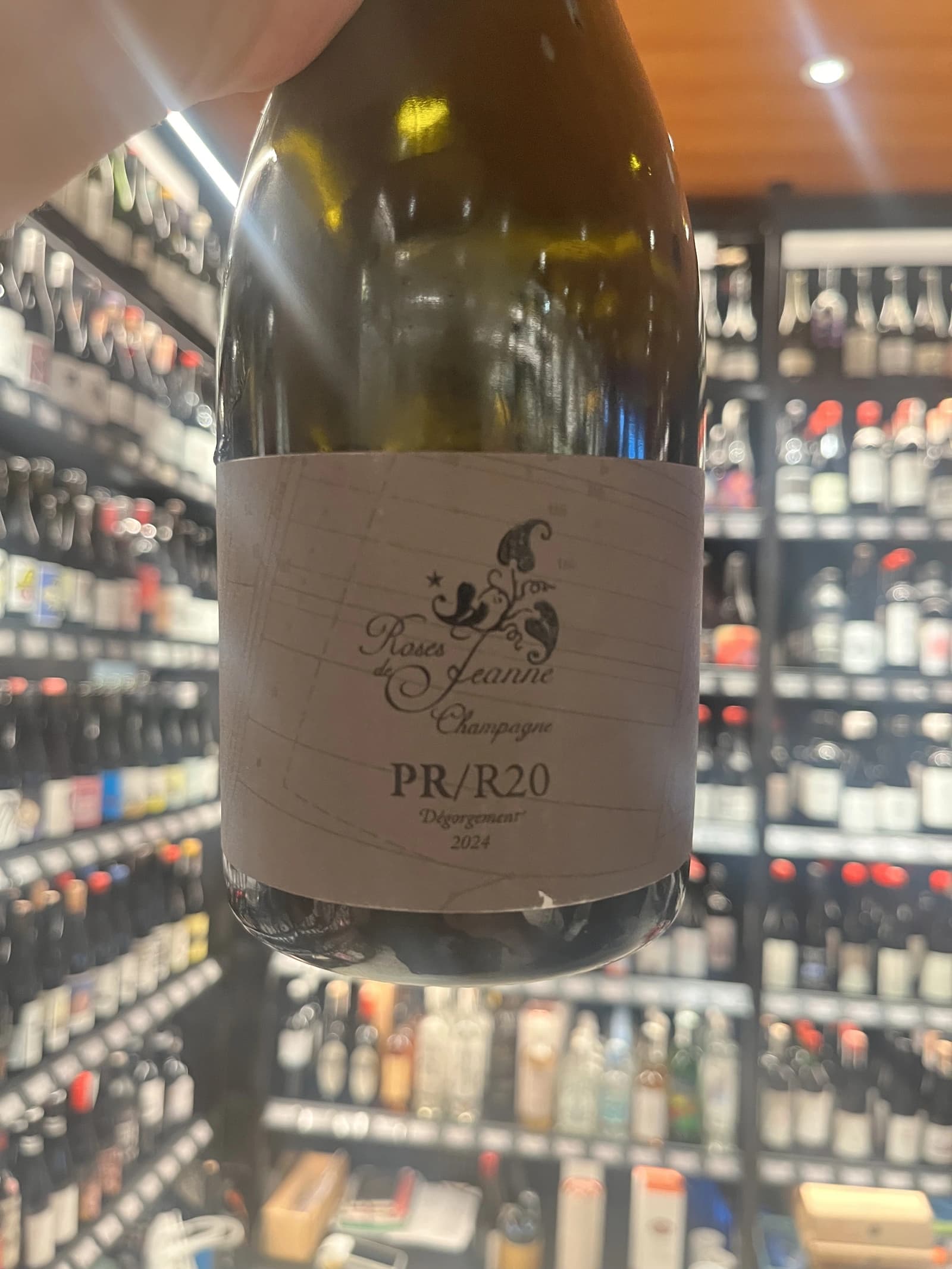 Roses de Jeanne Presle PR/R20 2020