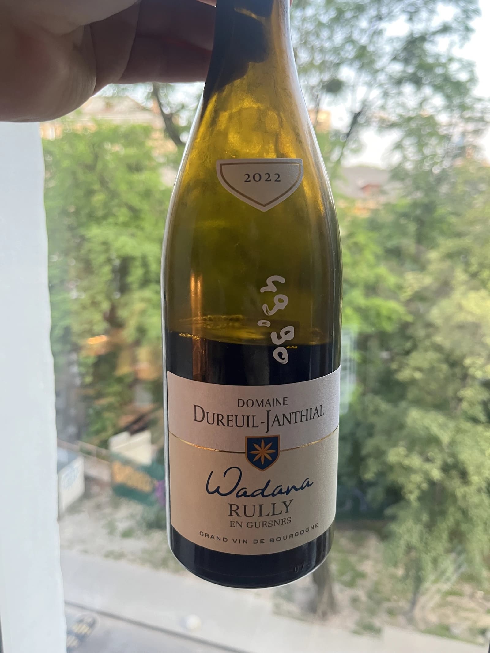 Domaine Dureuil-Janthial Wadana Rully En Guesnes 2022