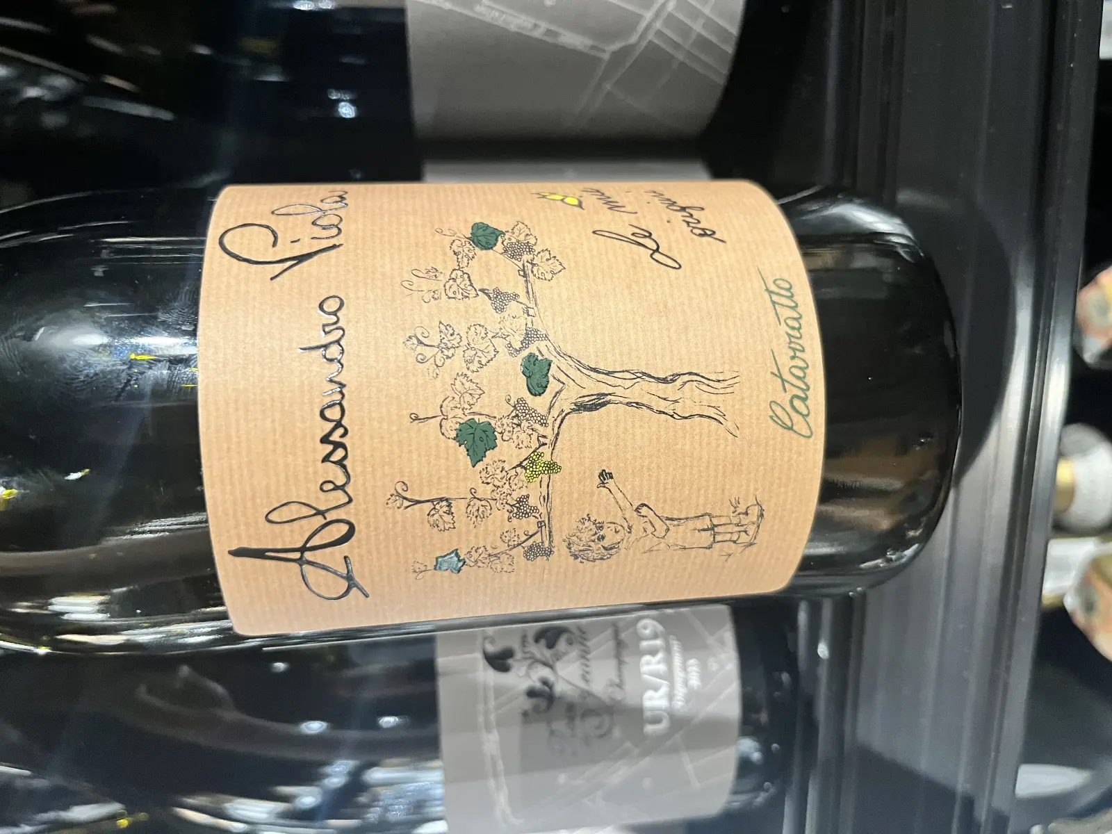 Alessandro Viola Le mie Origini 2021