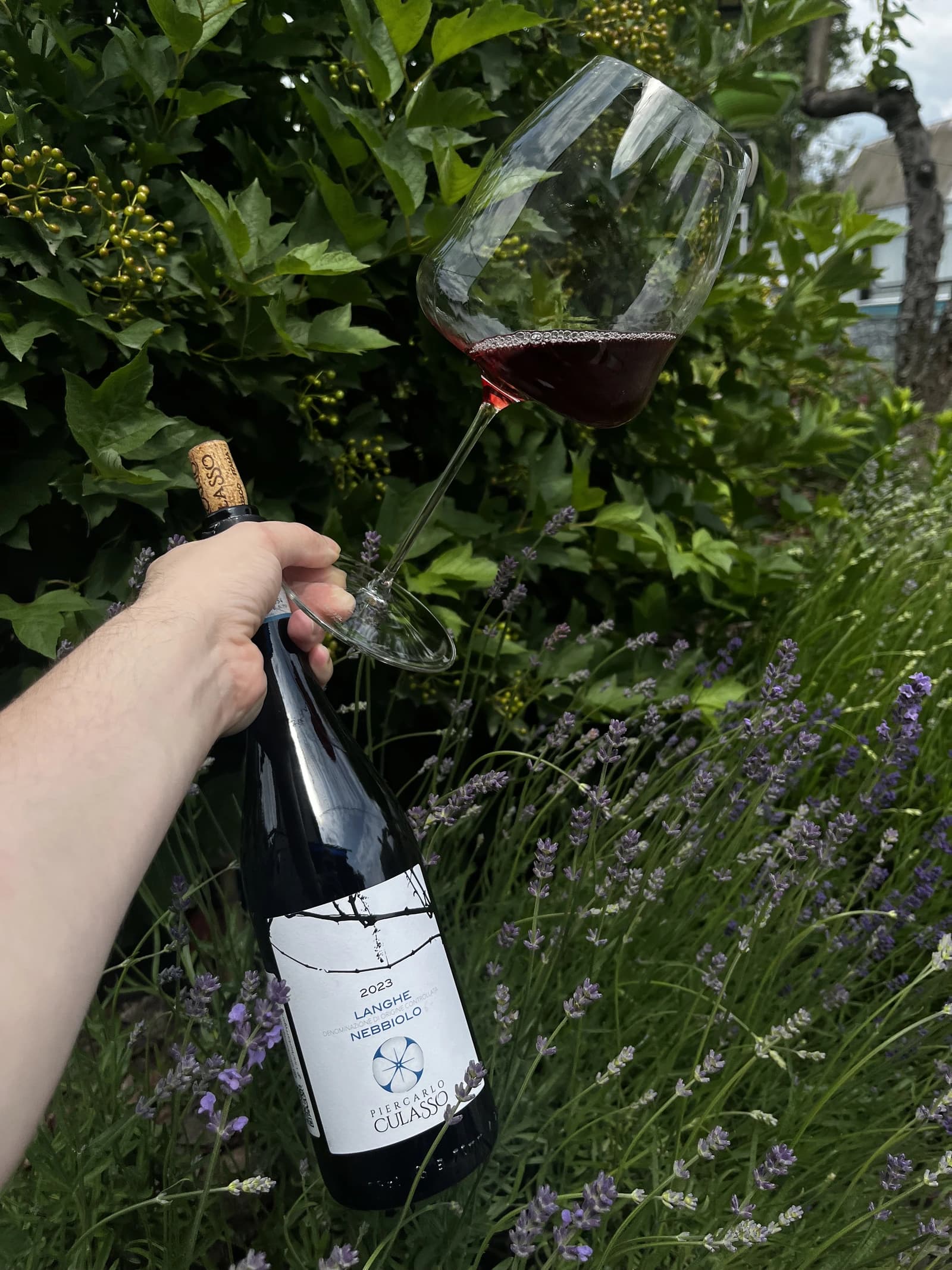 Piercarlo Culasso Langhe Nebbiolo 2023