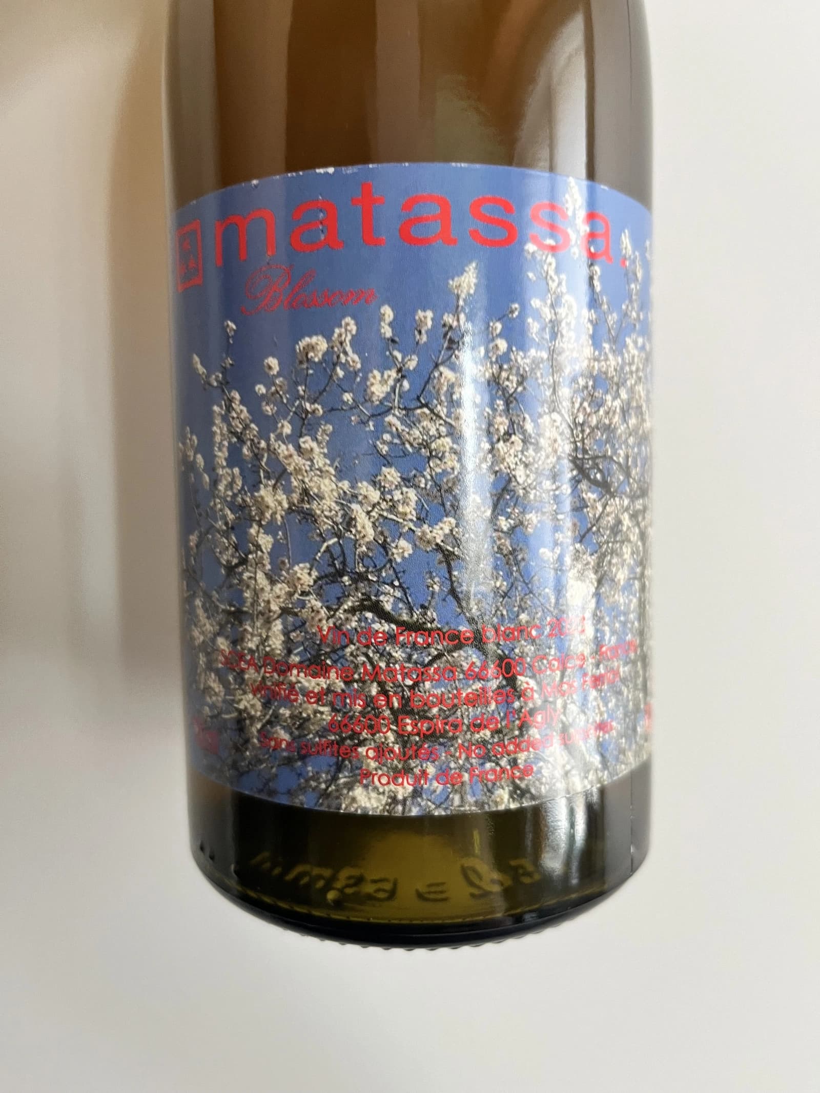 Matassa Blossom 2023