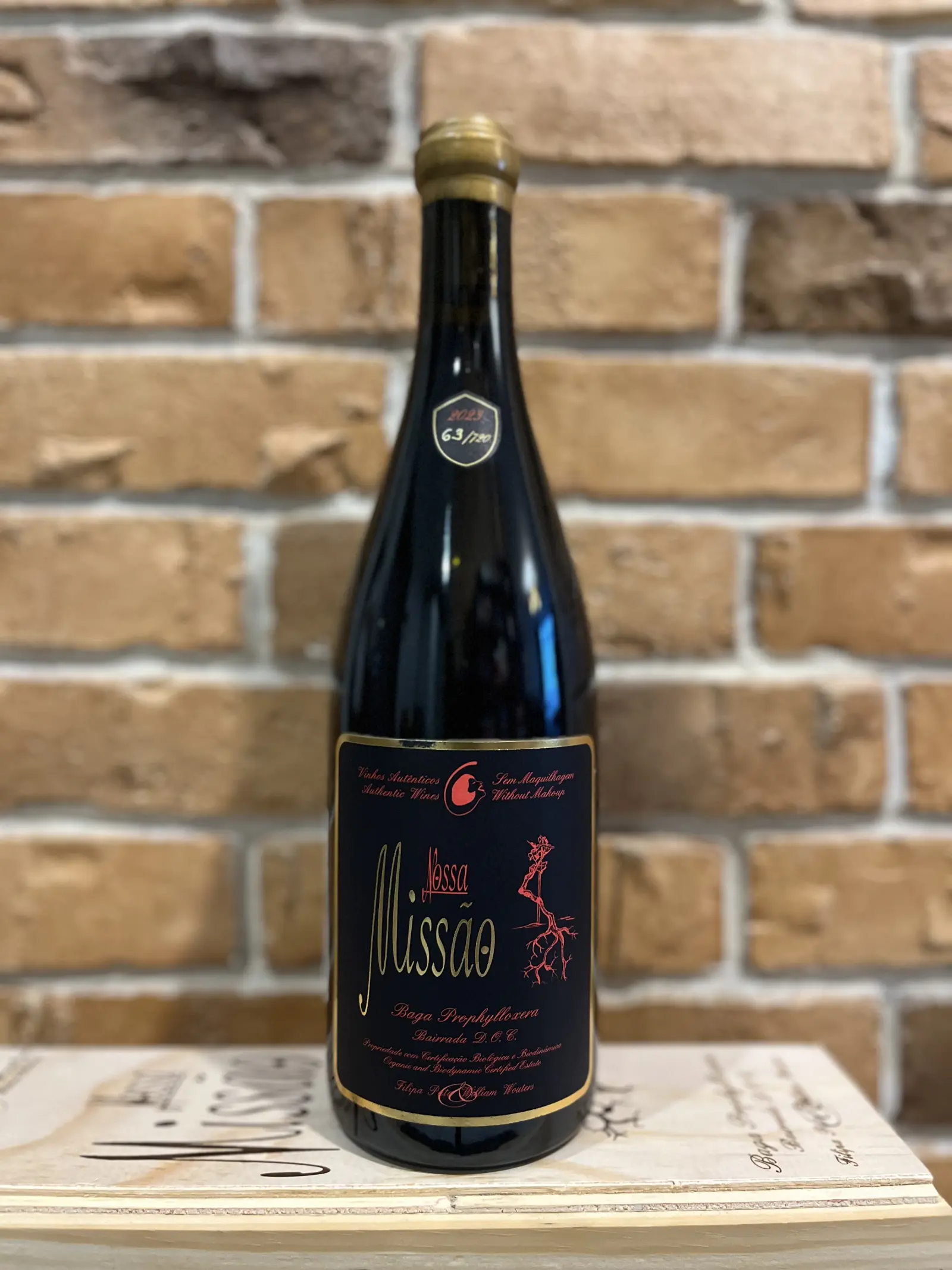 Filipa Pato Nossa Missão 2023