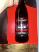 Arpepe Sassella Rocce Rosse Valtellina Superiore Riserva 1996