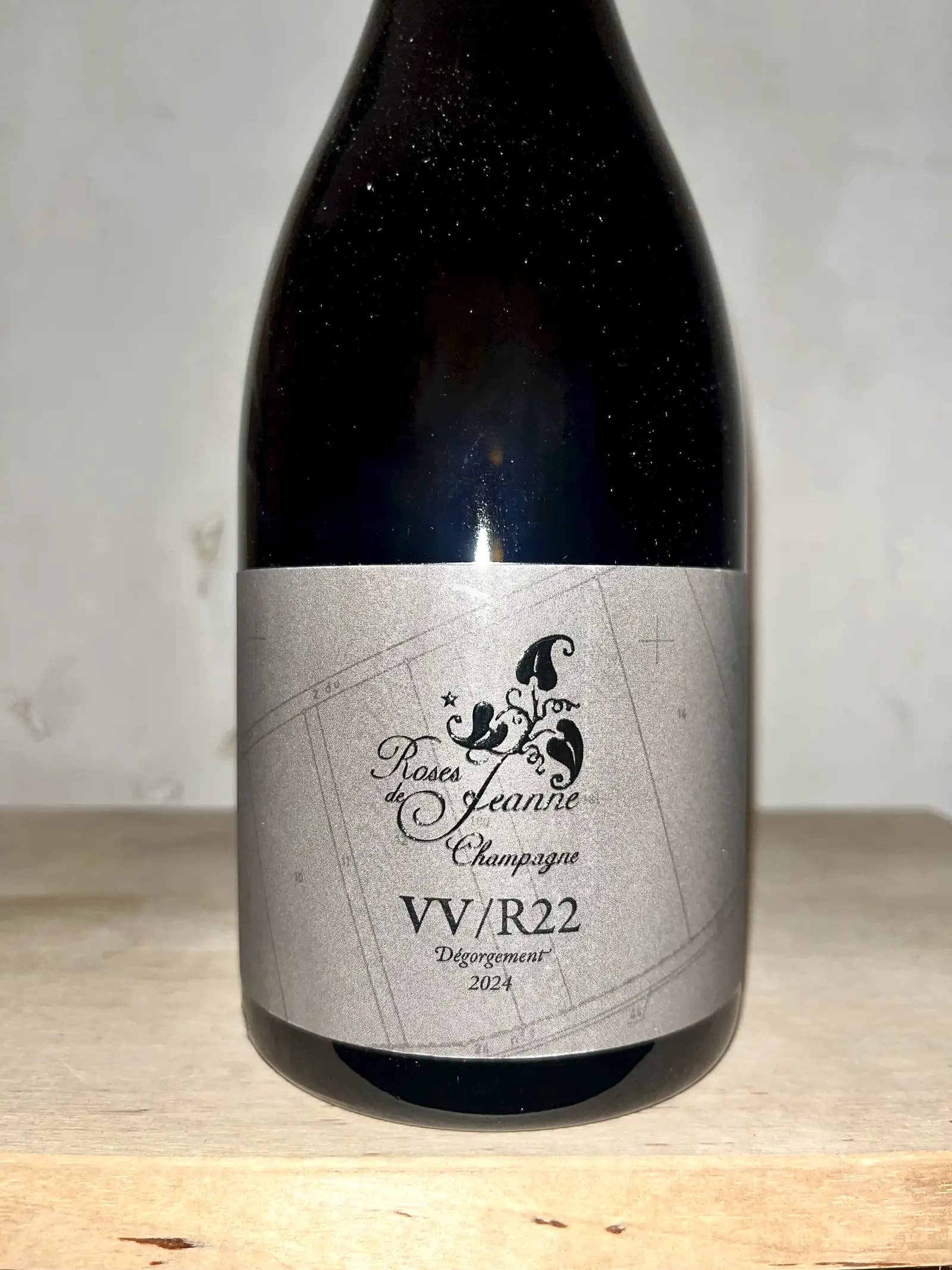 Roses de Jeanne Val Vilaine VV/R22 2022