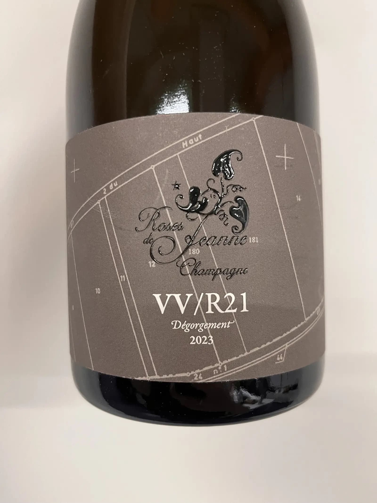 Roses de Jeanne Val Vilaine VV/R21 2021