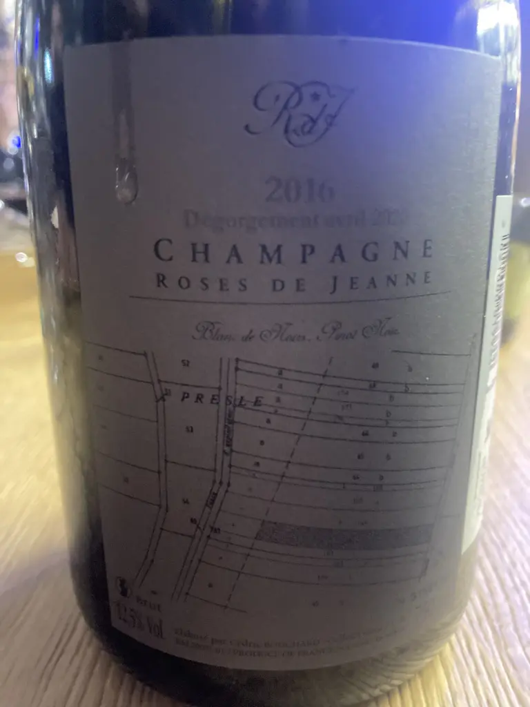 Roses de Jeanne Presle 2016