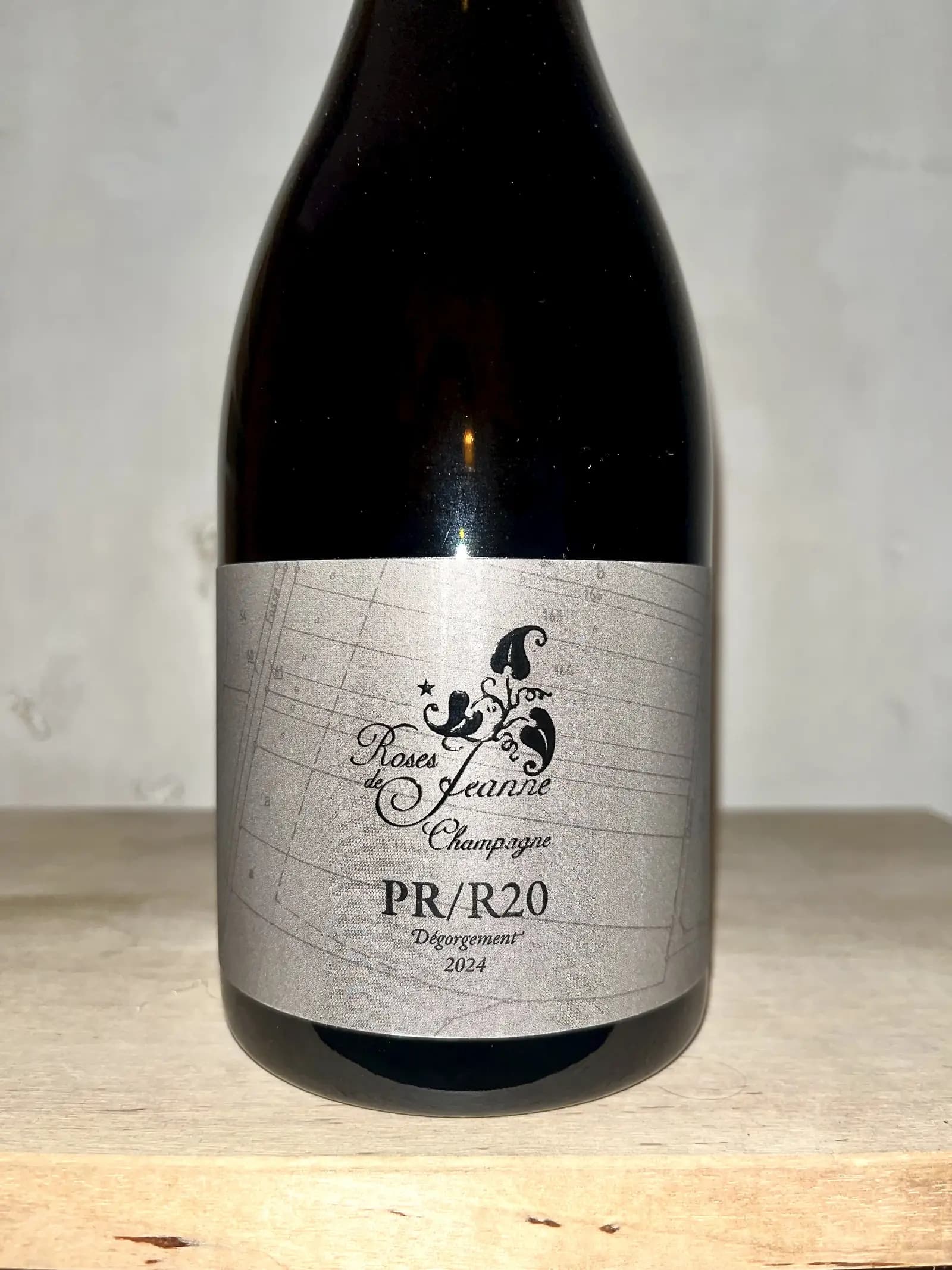 Roses de Jeanne Presle PR/R20 2020