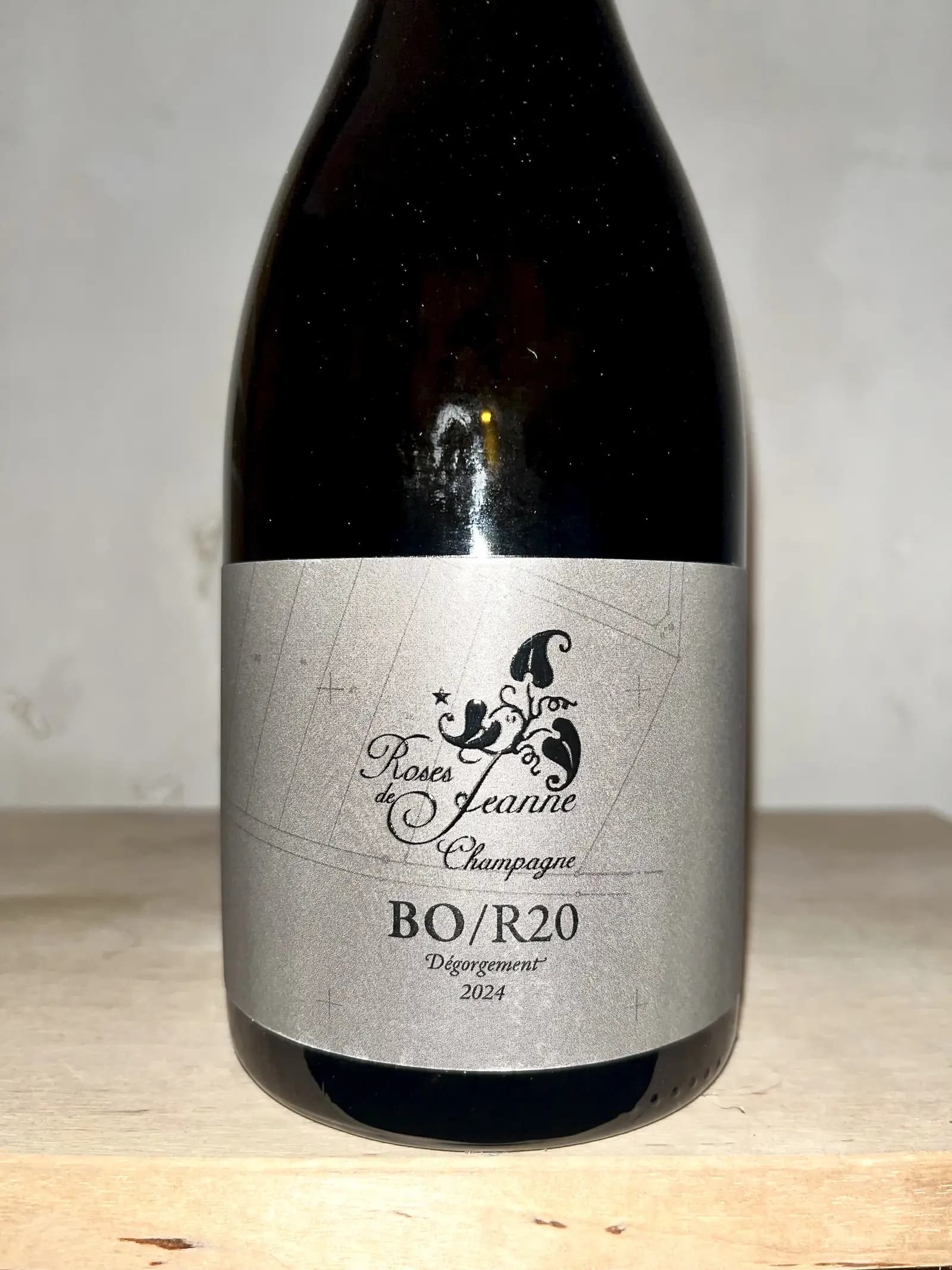 Roses de Jeanne La Boloree BO/R20 2020