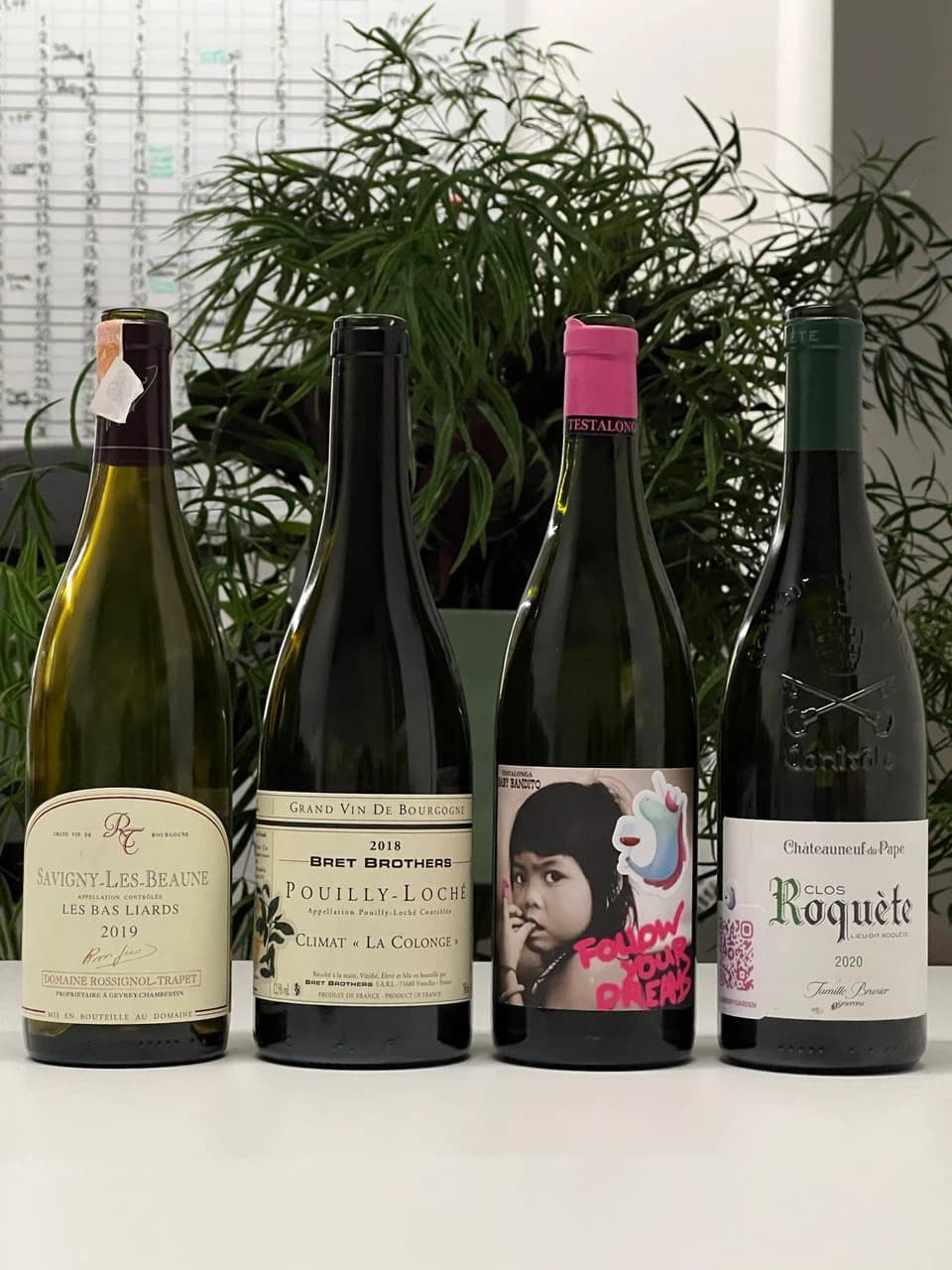 Photo by Elvira Kantiieva