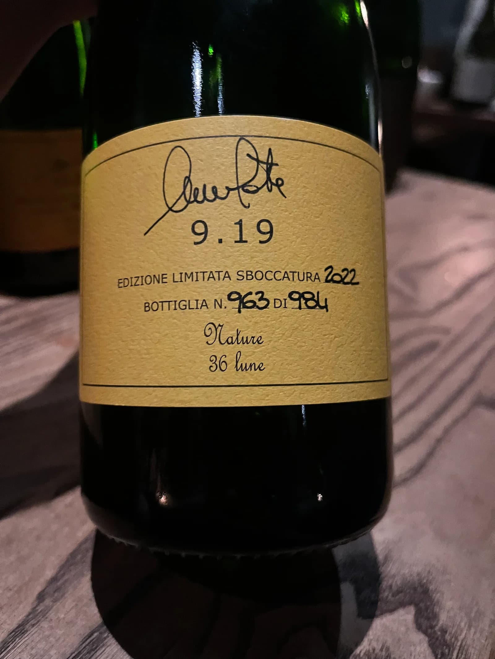 Nicola Gatta Solera 9.19