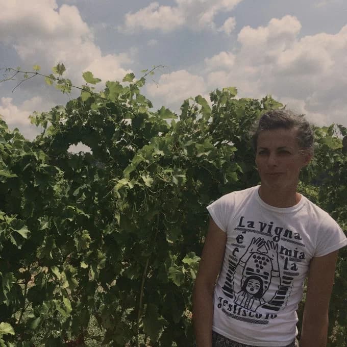 https://tuttowines.com/
