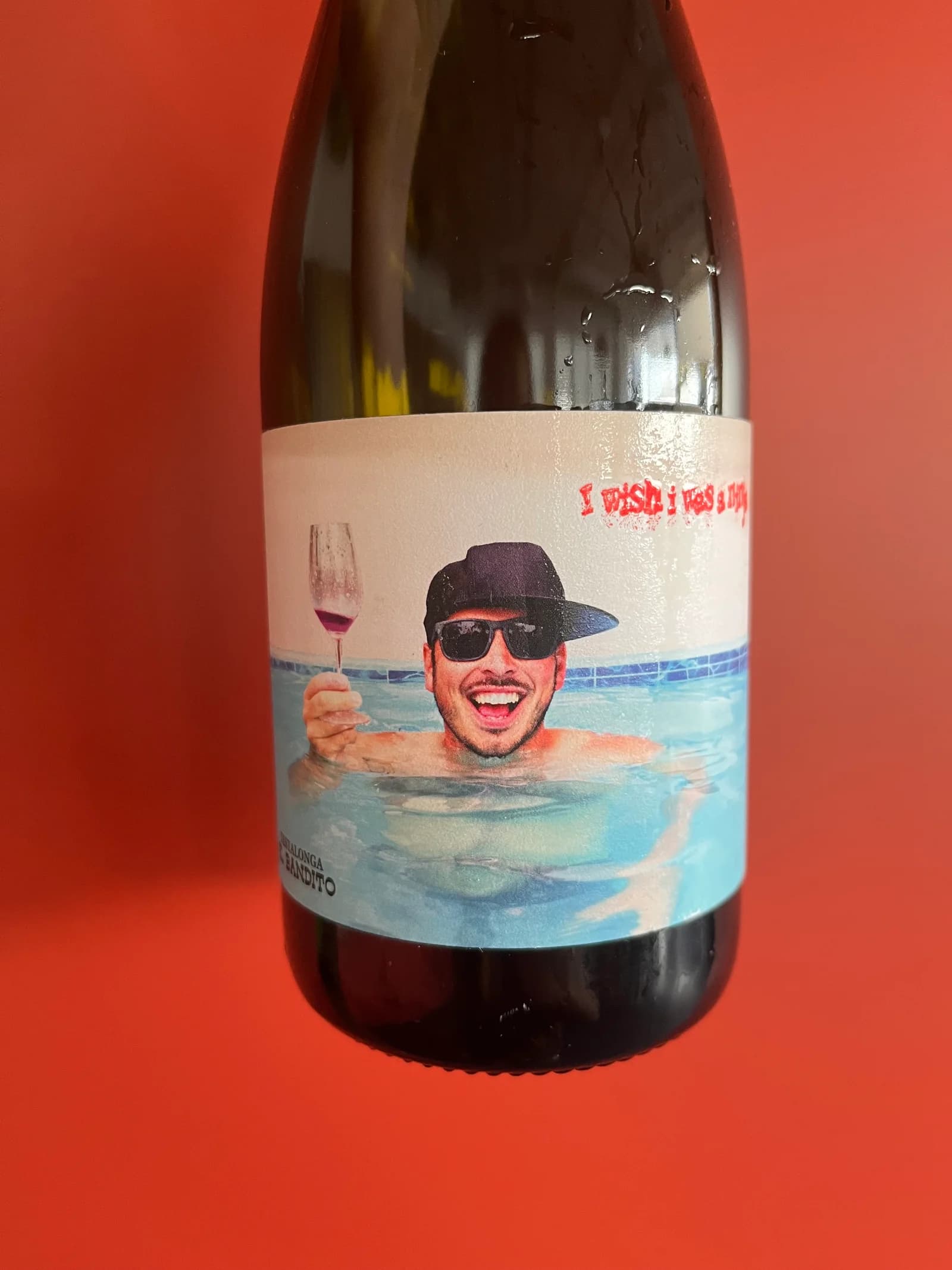 Testalonga El Bandito I Wish I was a Ninja 2022