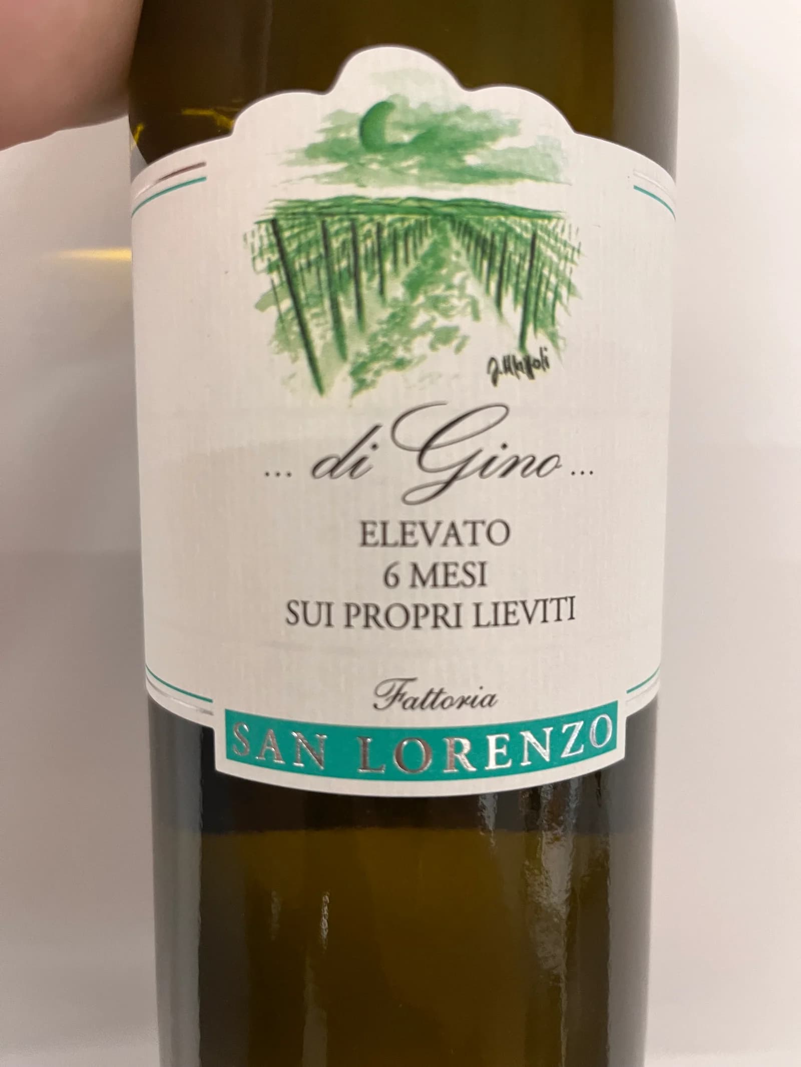 Fattoria San Lorenzo Marche Bianco di Gino 2021